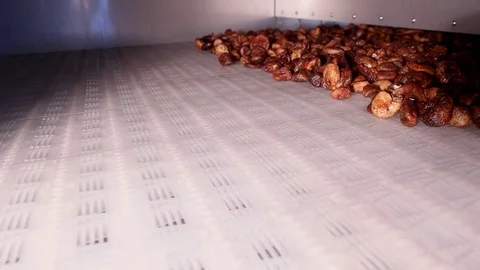 Dried figs on conveyor belt. Drying on industrial microwave. Slow motion 스톡 동영상 83658577