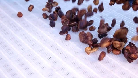 Dried figs on conveyor belt. Drying on industrial microwave. Slow motion 스톡 동영상 83662899