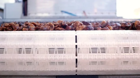 Dried figs on conveyor belt. Drying on industrial microwave. Slow motion 스톡 동영상 83663110