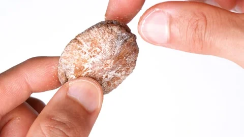 Dried figs. Stock Footage 157353571