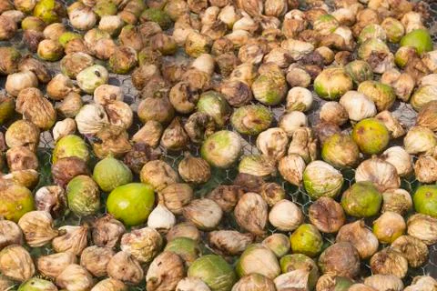 Dried figs on the sun Stock Photos