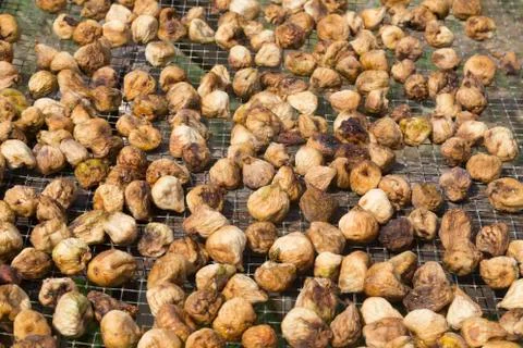 Dried figs on the sun Stock Photos