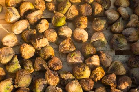 Dried figs on the sun Stock Photos