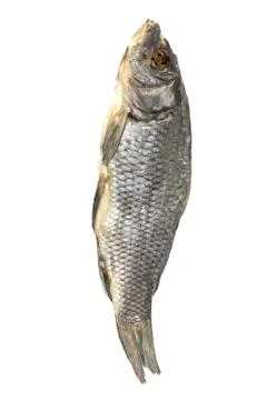 Dried fish allocated on a white background Stock Photos