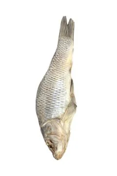 Dried fish allocated on a white background Stock Photos