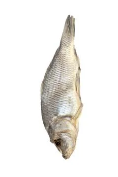 Dried fish allocated on a white background Stock Photos