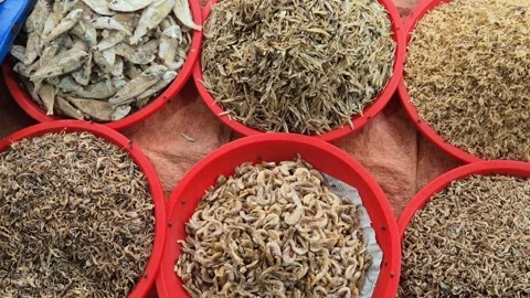Dried Fish and Dried Shrimp Displayed in Red Bowls at Village Market Video Video stock 343877407