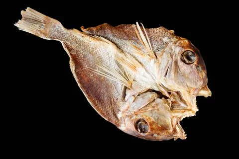 Dried fish on black background. Foto stock
