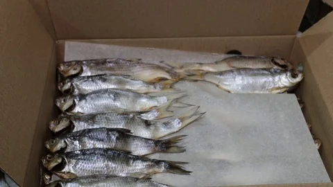 Dried fish in a cardboard box. Beer snack. Stock Footage 118976308