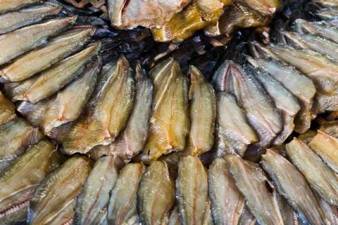 Dried fish in a circle on plate. Stock Photos