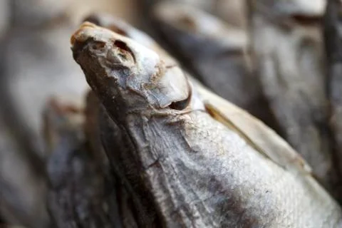 Dried fish close up Foto stock