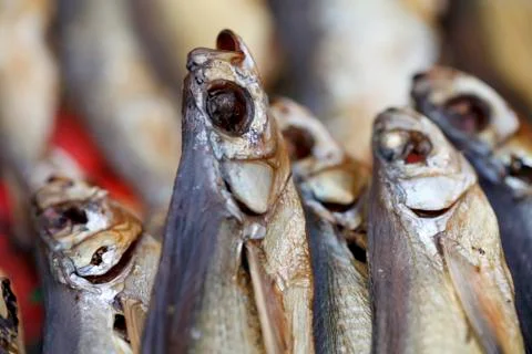 Dried fish close up Stock Photos