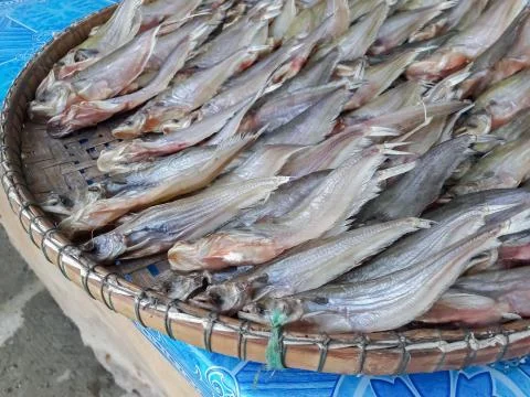 Dried fish for cooking Stock Photos