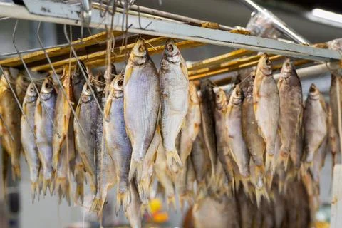Dried fish dried on hooks Stock Photos