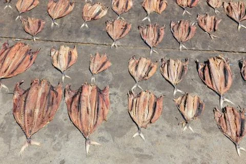 Dried fish to dry on the ground Stock Photos