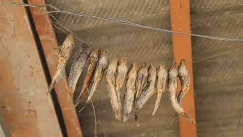 Dried fish hanging on a rope Video stock 87875680