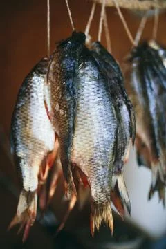 Dried fish hanging on a rope Stock Photos