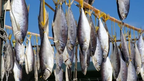 Dried fish is hung out to dry in the sun from a fishing boat in Sai Kung Hong Ko 库存影片 79435347