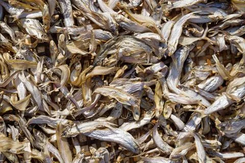 Dried Fish In Laos Stock Photos