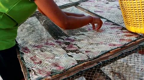 Dried fish market Vídeo Stock 49268287