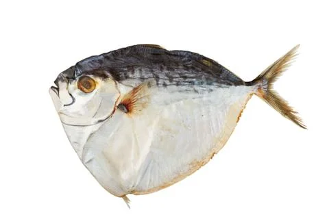 Dried fish Stock Photos