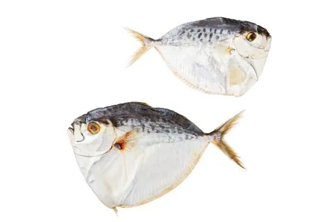 Dried fish Stock Photos