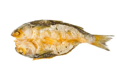 Dried fish Foto stock