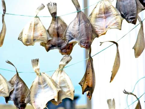Dried Fish Photos