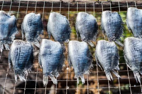 Dried fish Stock Photos