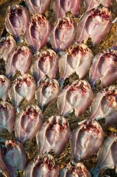 Dried fish Stock Photos