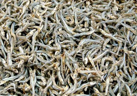 Dried fish Stock Photos