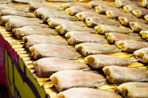 Dried fish Stock Photos