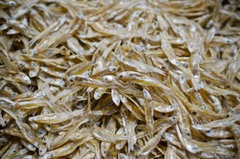 Dried fish Stock Photos