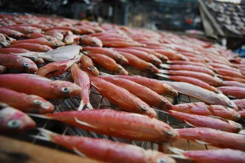 Dried fish Stock Photos