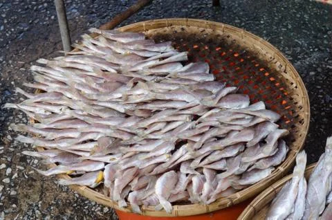Dried fish. Stock Photos