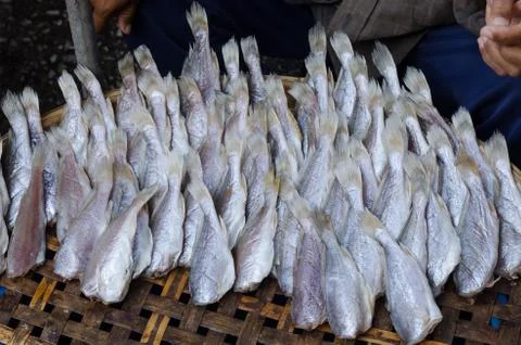 Dried fish. Foto stock