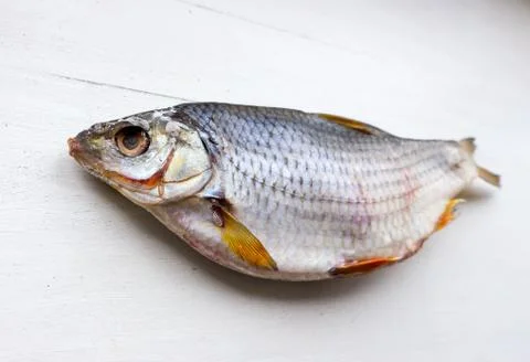 The Dried Fish. 스톡 사진