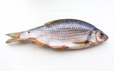 The Dried Fish. Foto stock