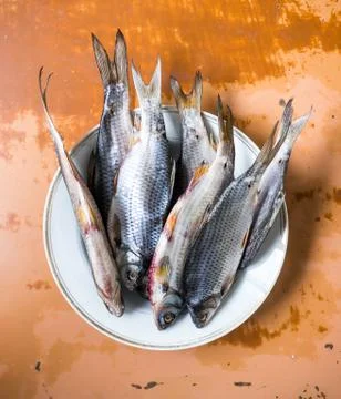 Dried Fish. Foto stock