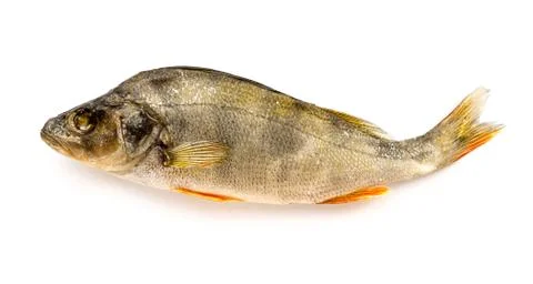 Dried Fish. Foto stock