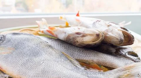 Dried Fish. 스톡 사진