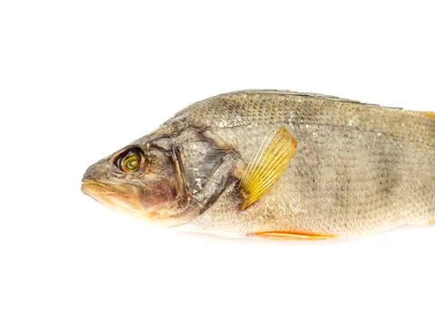 Dried Fish. Stock-Fotos