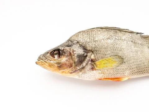 Dried Fish. Stock Photos