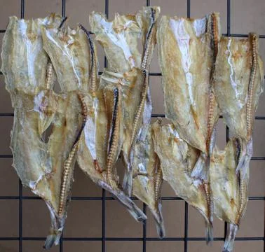 Dried Fish 스톡 사진
