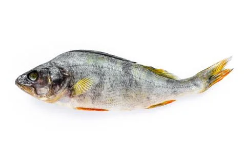 Dried Fish. Fotos de archivo