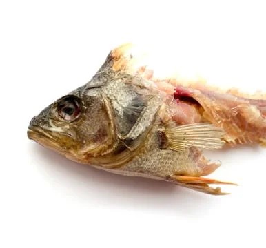 Dried Fish. 스톡 사진