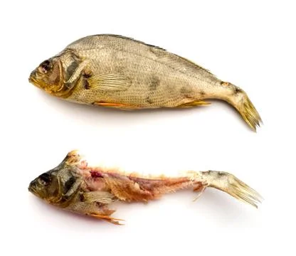 Dried Fish. 스톡 사진