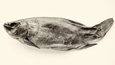 Dried Fish. 스톡 사진