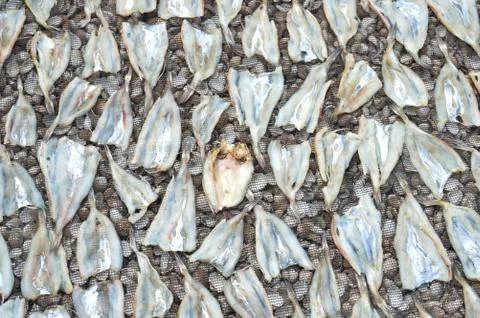 Dried fish Stock Photos