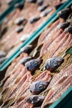 Dried Fish Stock Photos